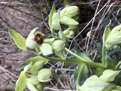 Tour de Courcourt [12-02-2022](IMG_4304).jpg